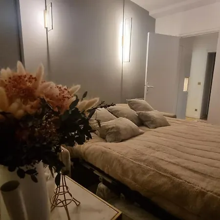 Grand Appart' * Luxe * 2 Pas Des Champs-elysees Paris